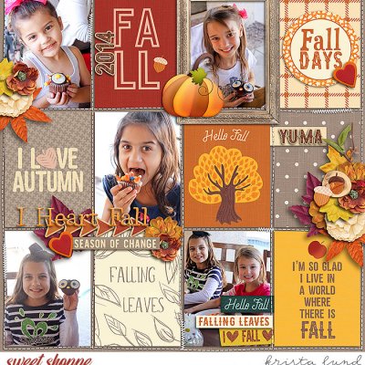 Sweet Fall Days
