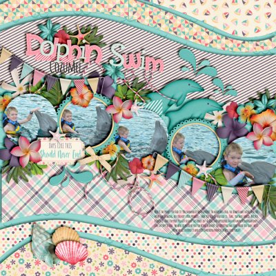 Dolphin Swim - 2016
