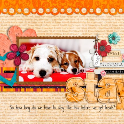 Stay