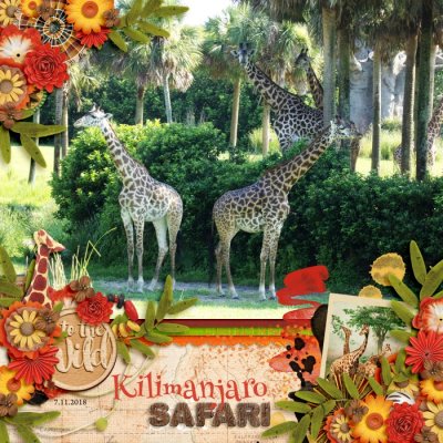 Into the Wild:  Kilimanjaro Safari