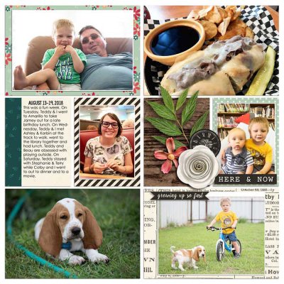 Project 2018- Week 33 (left)