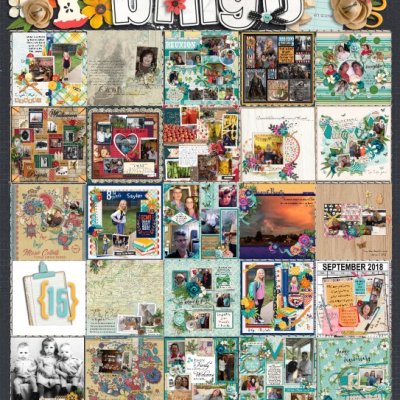 Bingo-Cover All