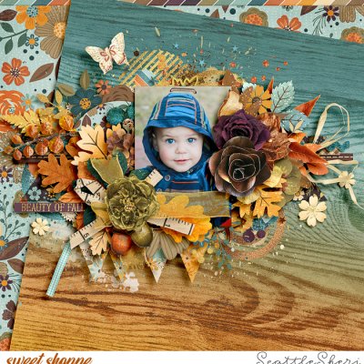 Beauty of Fall