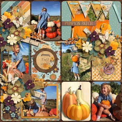 Pumpkin patch