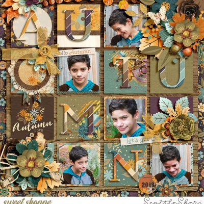 Autumn Love