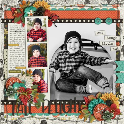 Fall Delight
