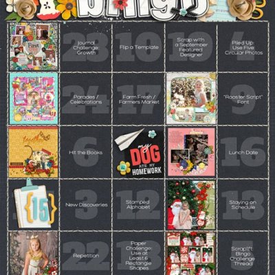 challenge bingo