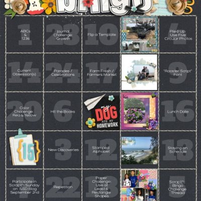 Sept Bingo Card
