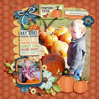 Pumpkin Patch
