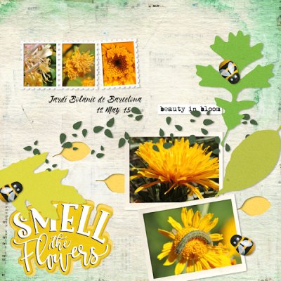 Oct 07 - leaf shapes