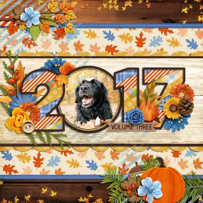 2017 vol 3 cover