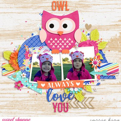 Owl Always Love You