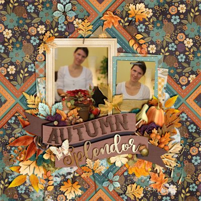 Autumn Splendor
