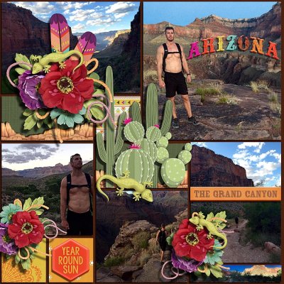 Arizona