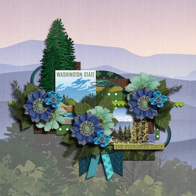 The evergreen state