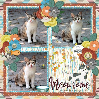 Meowsome