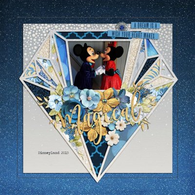 Disneyland Cover