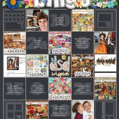 Bingo DSD Edition 2018