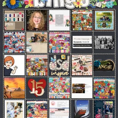 DSD Bingo for Blackout