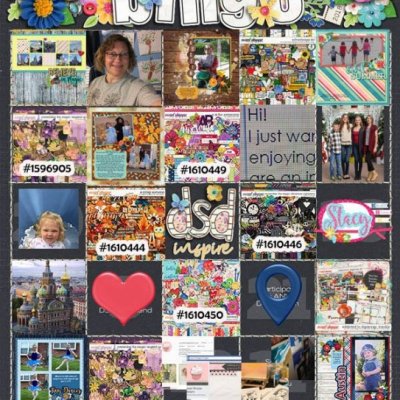 2018_DSDbingo_blackout_web