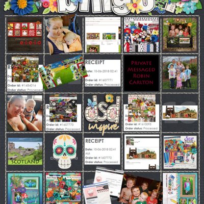 DSD 2018 BINGO