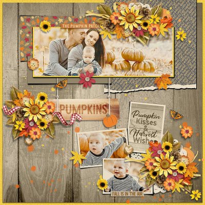 Fall Market