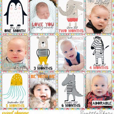 First 6 months