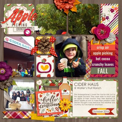 Apple Picking