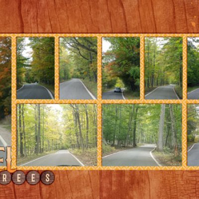 Tunnel of Trees