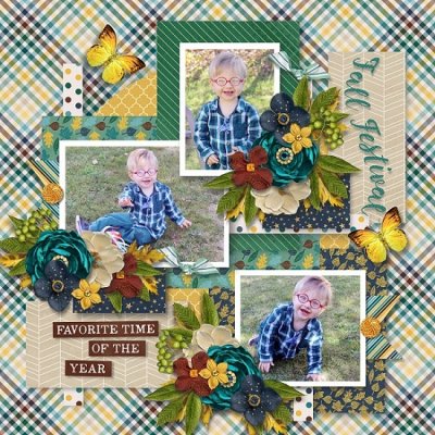 November favorites 1