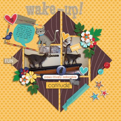 Wake Up!