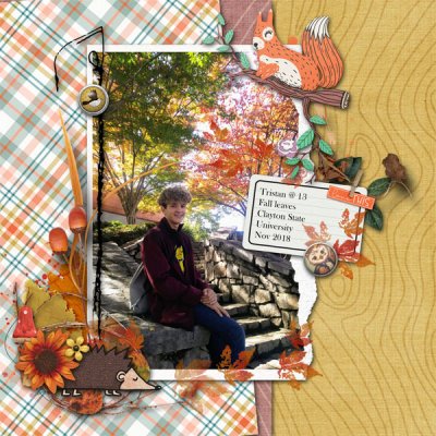 Fall_Nov_2018