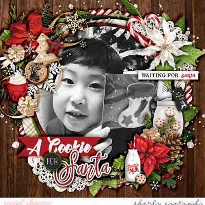 A cookie for Santa