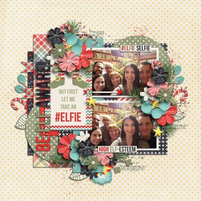Let me take an elfie
