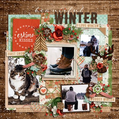 beautiful winter
