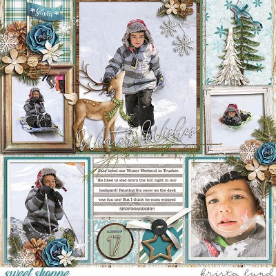Winter Wishes