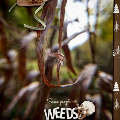 Weeds