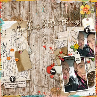 A Million Little Things