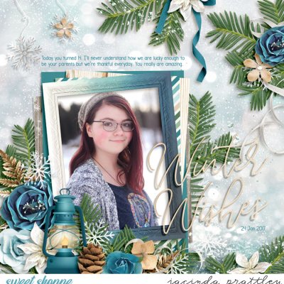 Winter Wishes