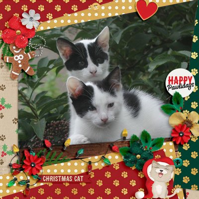Happy Pawlidays