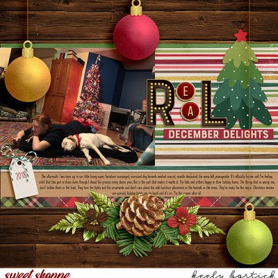 Real December Delights