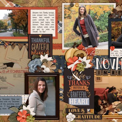 November in Review