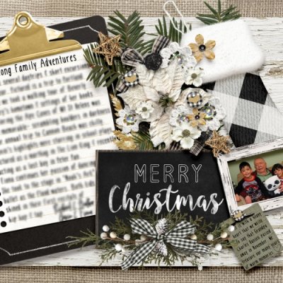 2018 Christmas Card back