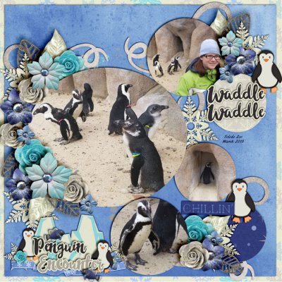 Penguin Encounter