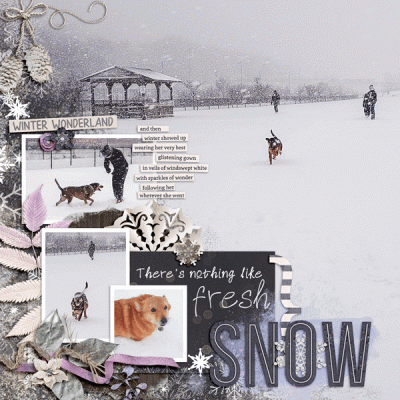 Fresh Snow