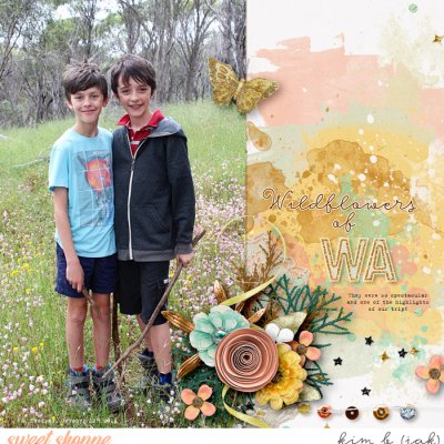 Wildflowers of WA