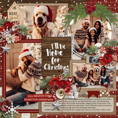 home for christmas