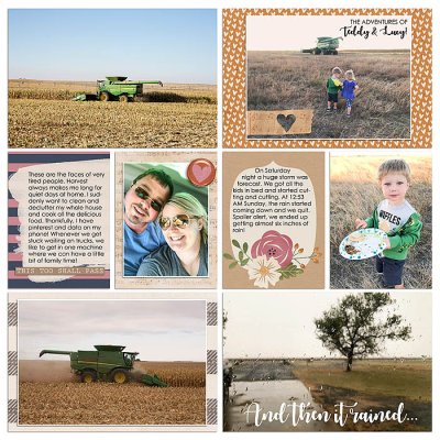 Project 2018: Week 40 (right)