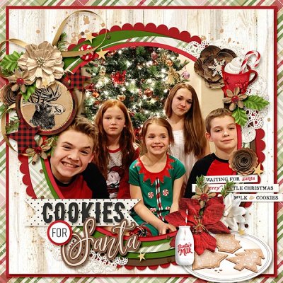 COOKIES FOR SANTA