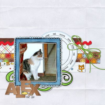 Alex the cat